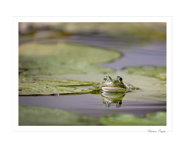 C225 - Embrasse-moi !