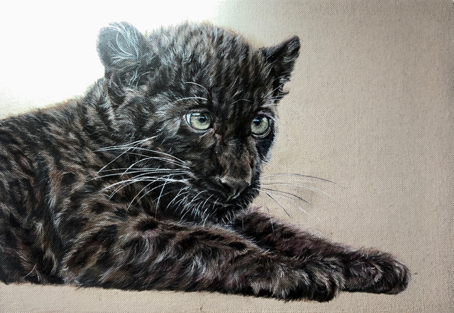 Regard Attendrissant 