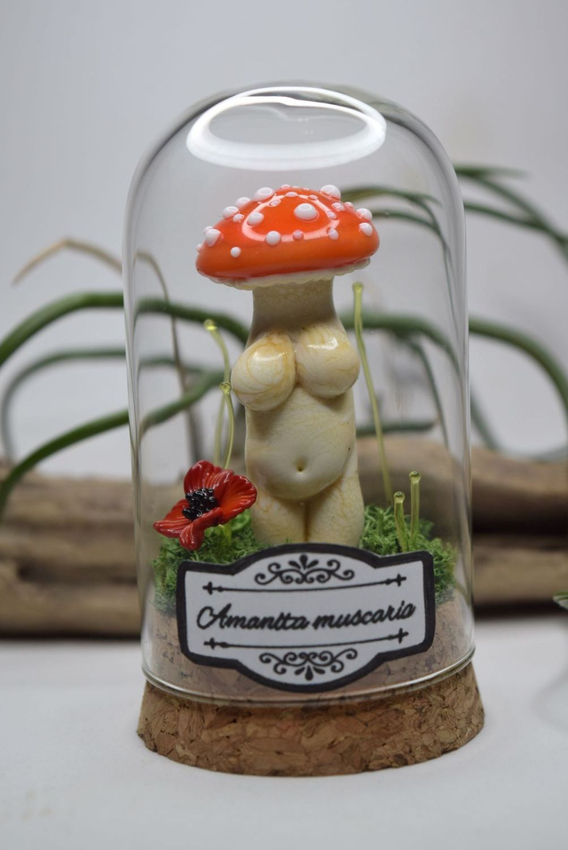 AMANITA MUSCARIA SOUS VERRE