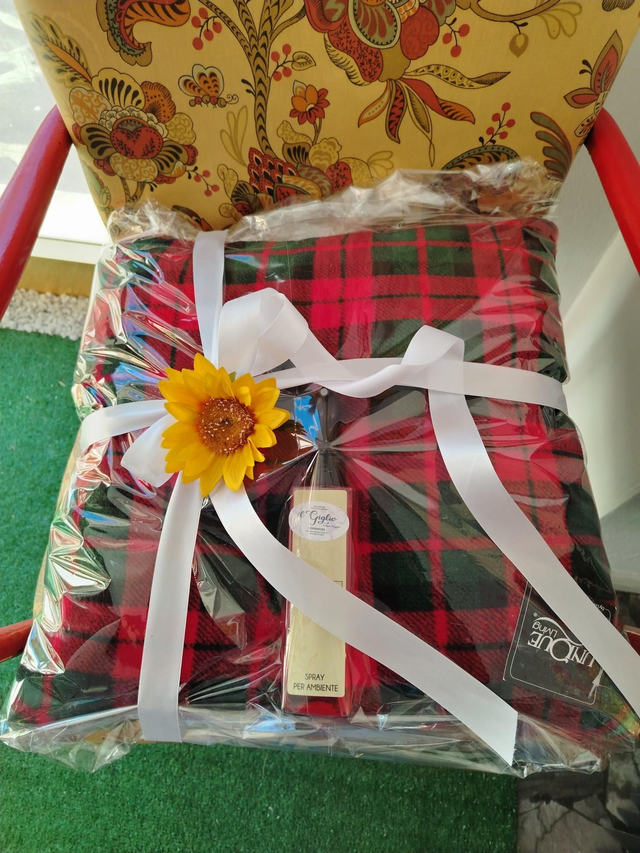 Cuscino/ coperta con le braccia+ profumatore tessuti/ambienti