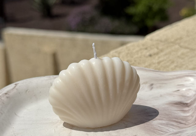 Mini coquillage 