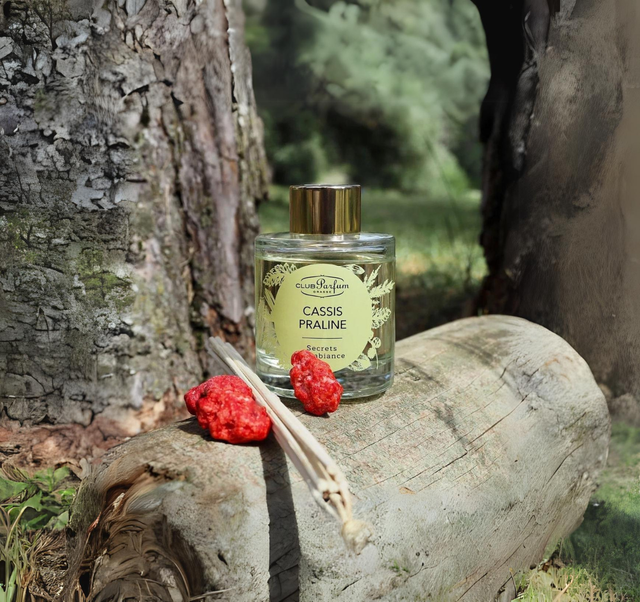 Secret d&#039;ambiance CASSIS PRALINE 100 ML