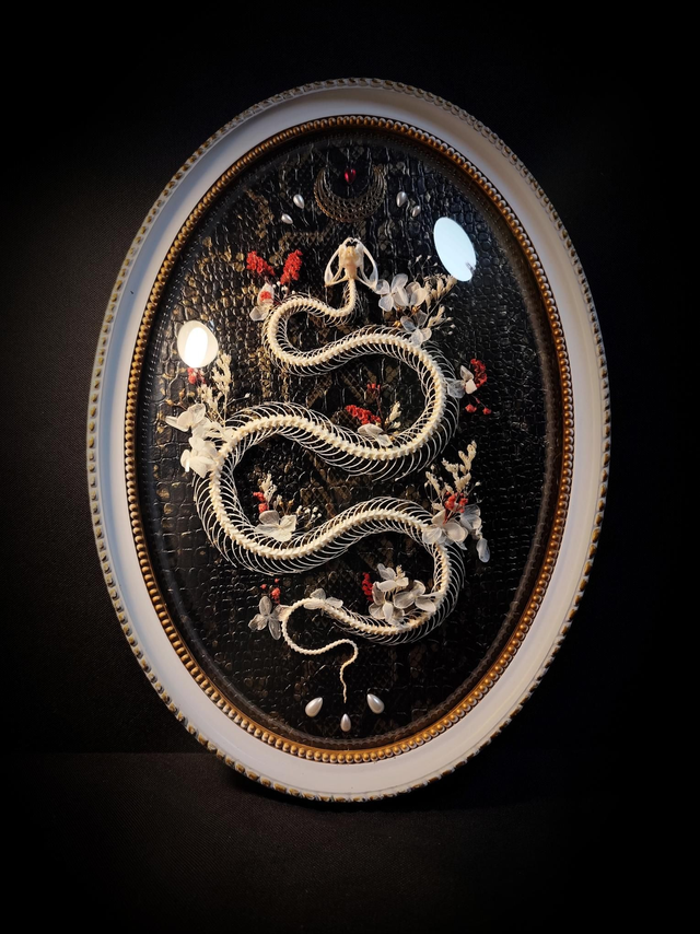 Cadre Serpent 