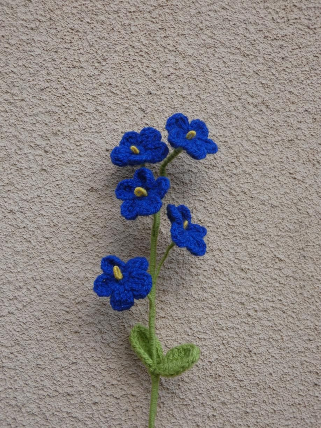 Tige de myosotis bleue foncée