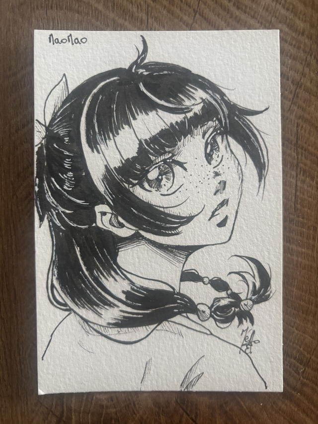 Mao Mao - Les carnets de l'Apothicaire