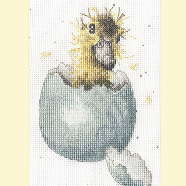 Greeting Card - Peek a Boo