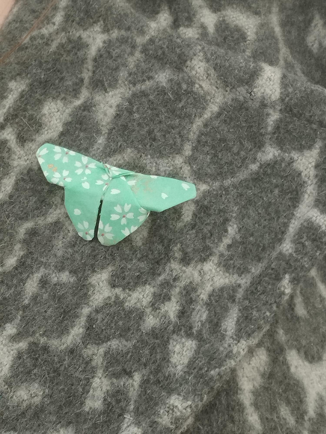 Broche en forme de papillon de couleur vert d&#039;eau