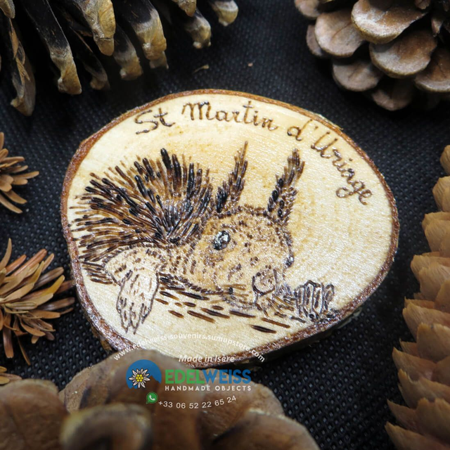 Saint Martin d'Uriage - écureuil