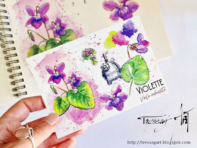 CARTE &quot;PLANTES A PARFUM&quot; de Grasse - Viola odorata - Violette - TR007005