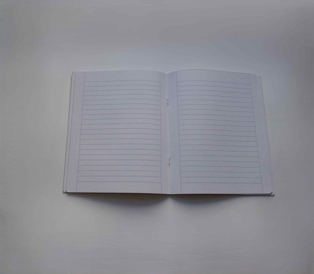 Le carnet ligné des pandas roux