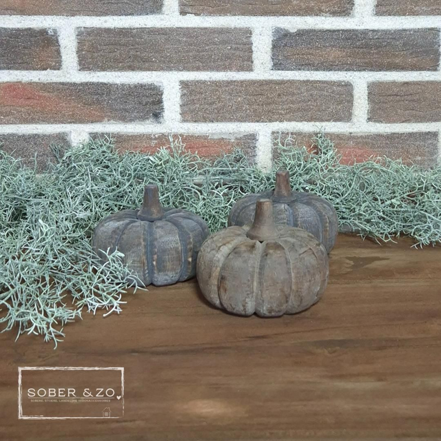 Pompoen hout 2