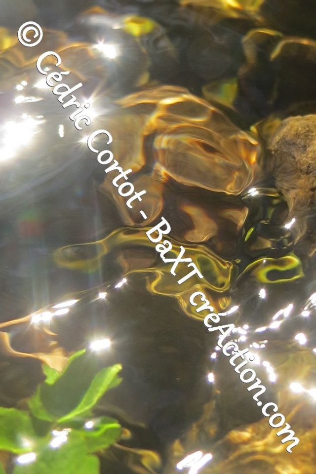 Impression sur alu dibond - Reflets et cours d'Eau (ref 2392)