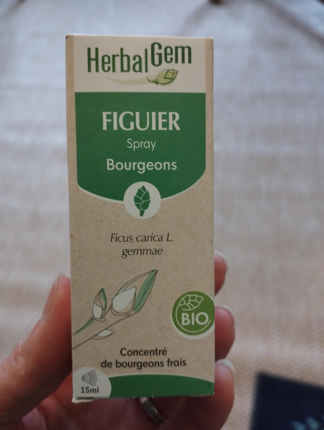 Bourgeon figuier en spray
