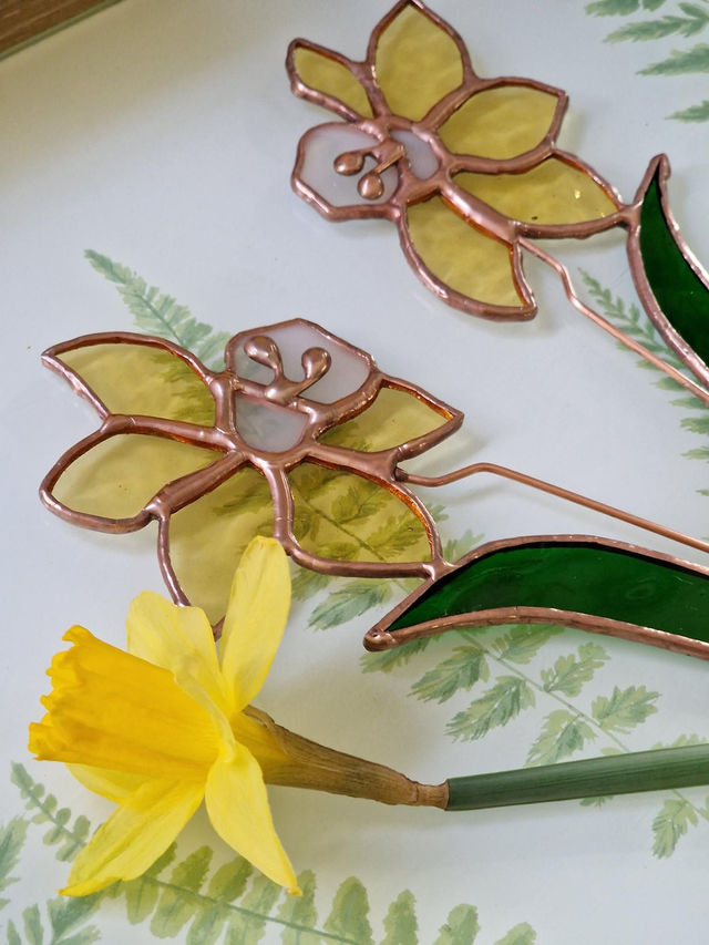 Daffodil Flower Stem