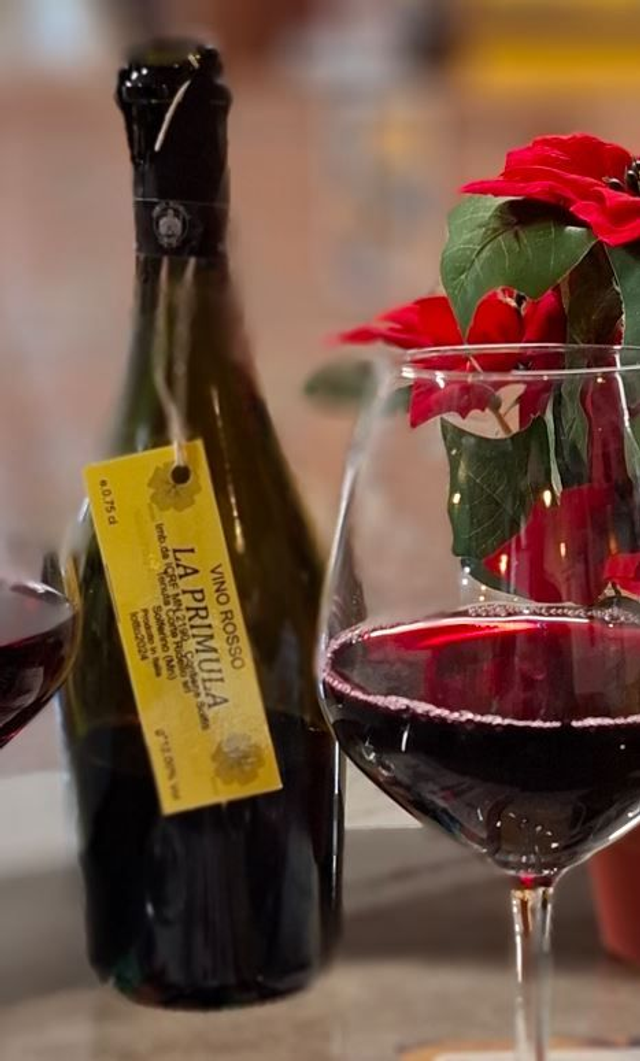 Ridello La Primula (beperkt verkrijgbaar)