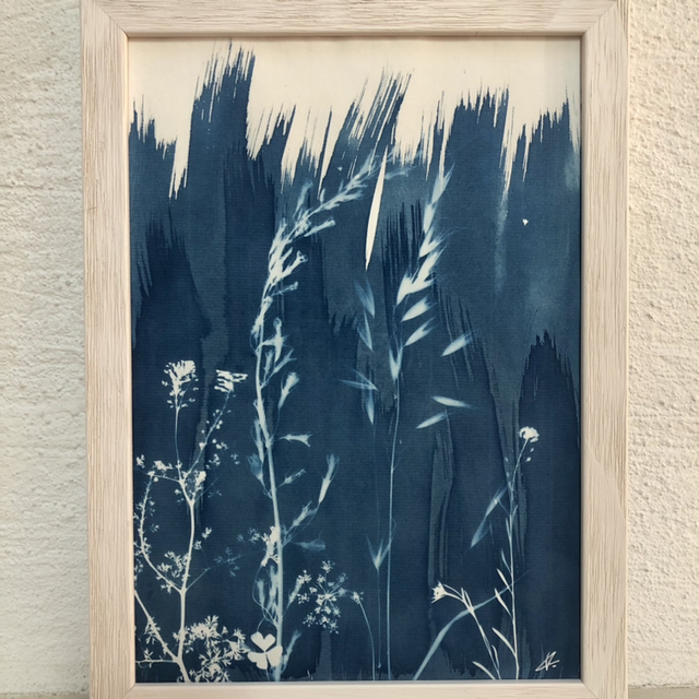 Cyanotype - « Pousse »