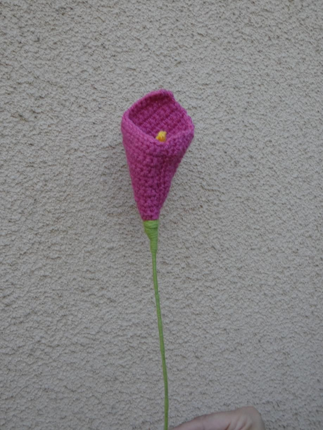 Arum rose foncé