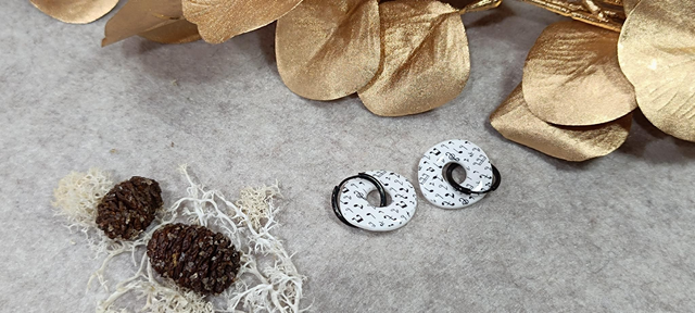 Maxi Julia - Musique