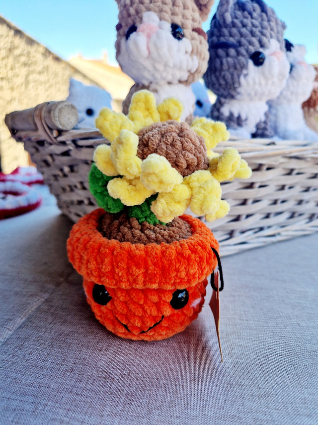 Pot de Fleurs Orange