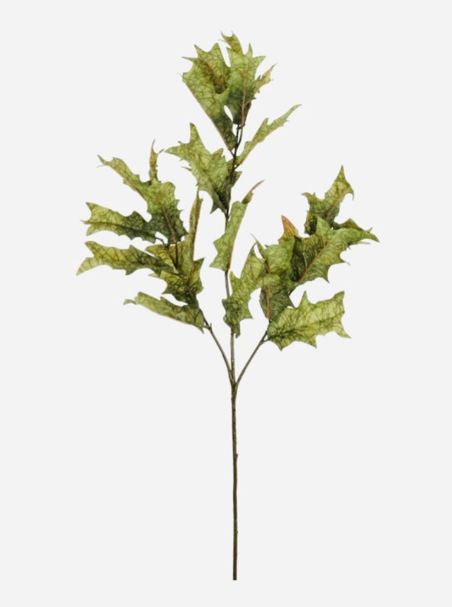 Dried Touch Fall Branch