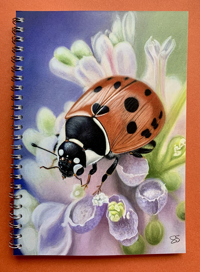 Notebook - Ladybird