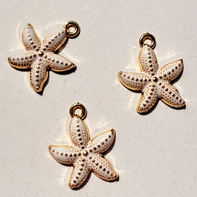 Étoile de mer blanche 