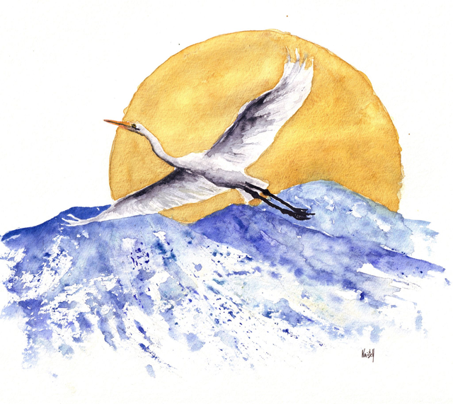 Grande aigrette au lever du soleil