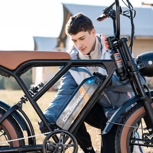 COLORWAY Electric Bikes