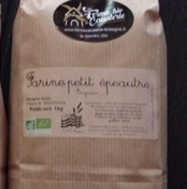  Petit épeautre (engrain)