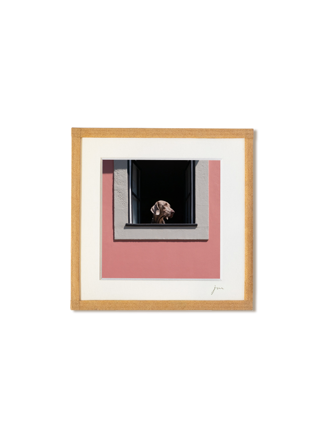 Chien - tirage photo encadré 