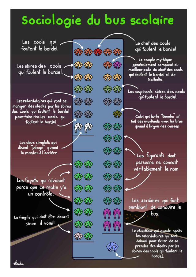 Sociologie du bus scolaire