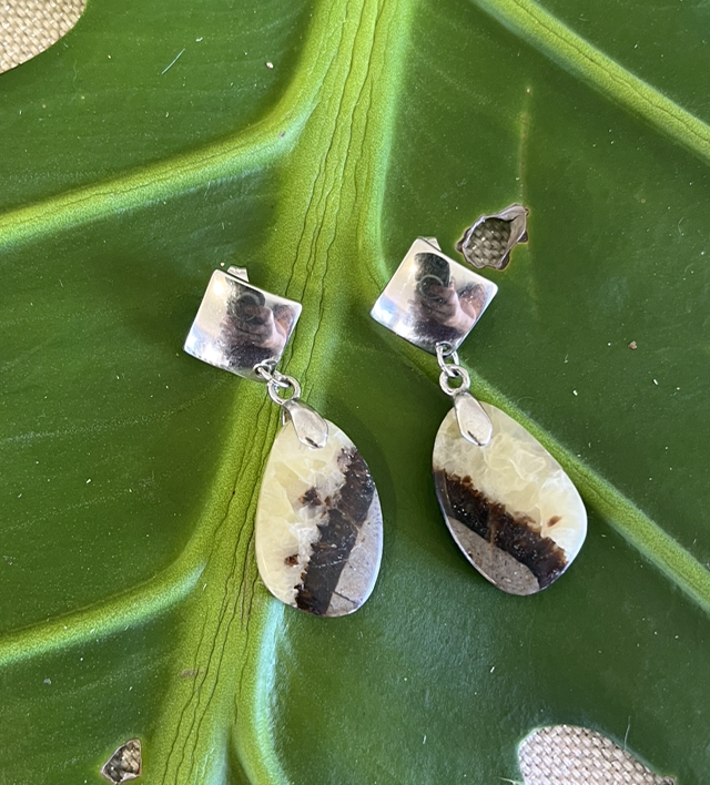 Boucles d’oreille Septaria