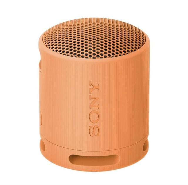 Sony SRS-XB100