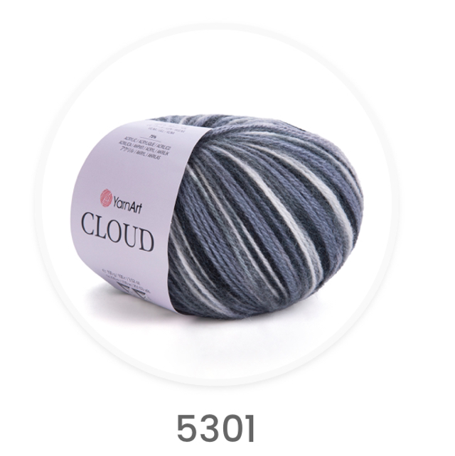Cloud 5301