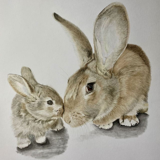 Mother and Kit Original Drawing