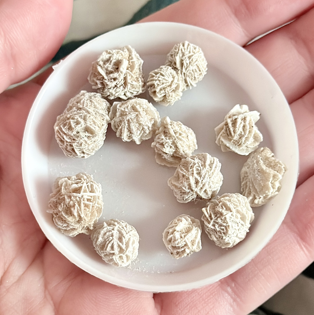 12 x Desert rose raw minis
