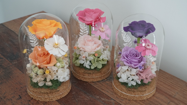 Preserved Flowers Standard Glass Dome