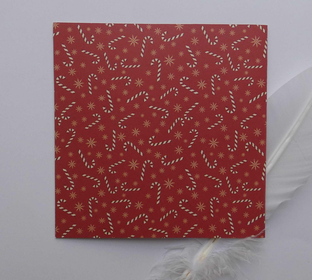 Bonnes fêtes de fin d'année avec les animaux