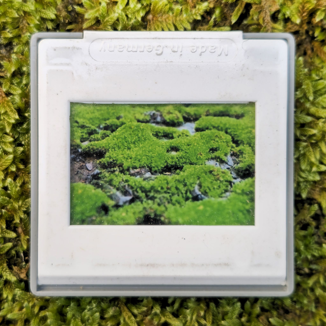 Magnet diapo Urbex_14