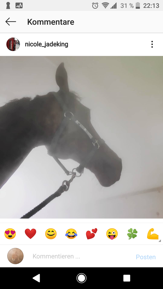 mobile Solekammer (individuell)