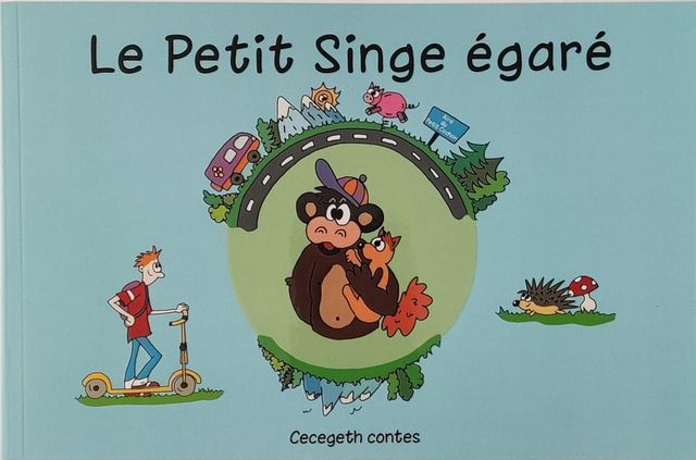LE PETIT SINGE EGARE