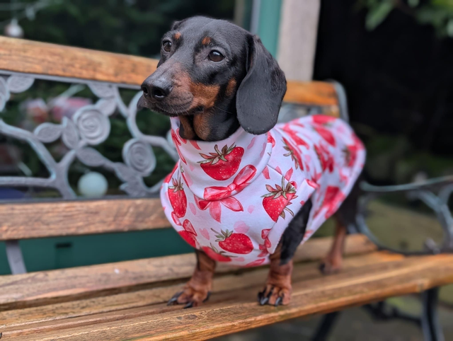 Eco fleece spring jumper