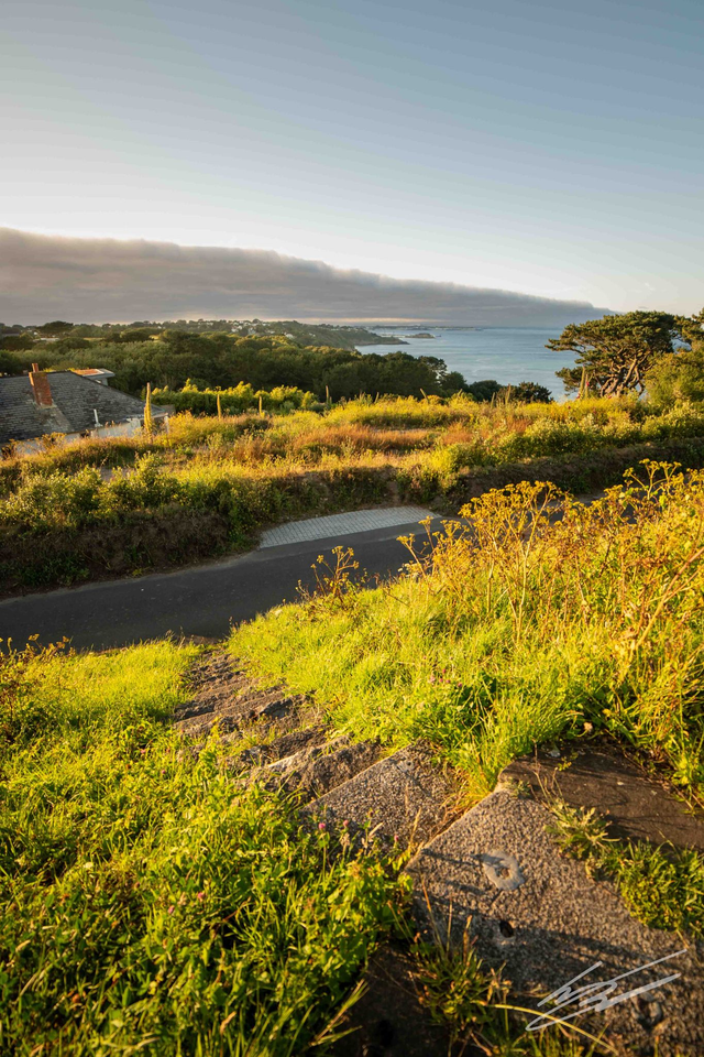 Doyle Monument Steps Portrait