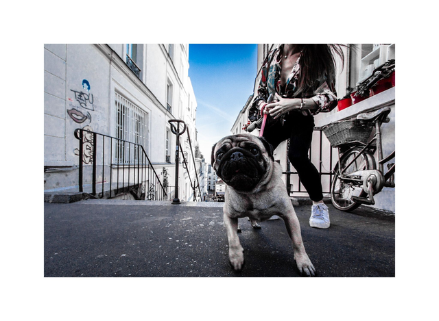 Mais t’es qui toi ?