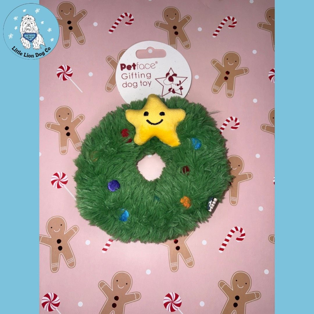 Petface Remy the Wreath Tough Dog Toy