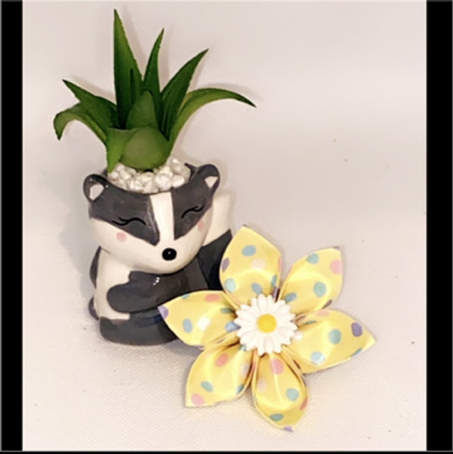 Spring is blooming flowers 