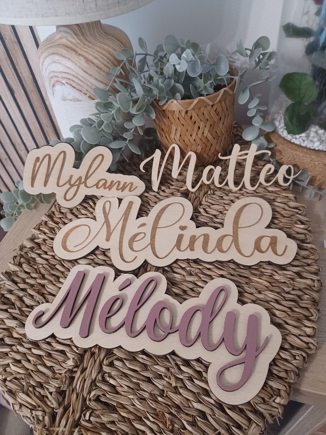 Panneau de porte personnalisée