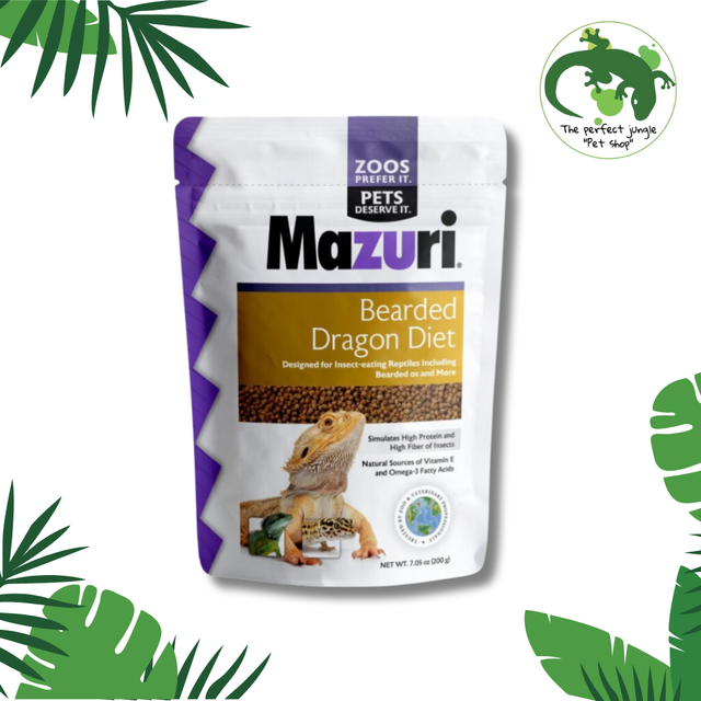 Mazuri Dragón Barbudo 