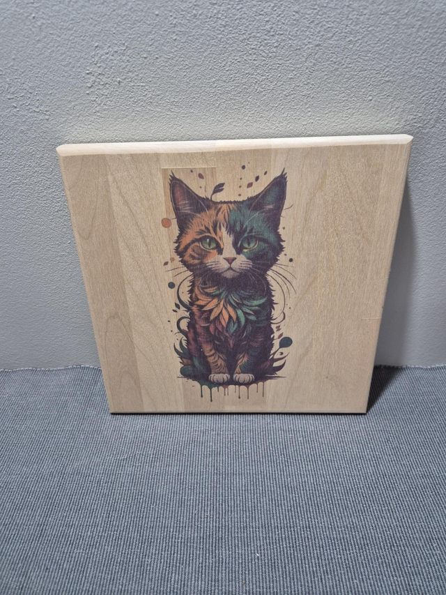 Tableau chat multicouleurs 