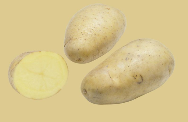 Monalisa – La grande classique polyvalente